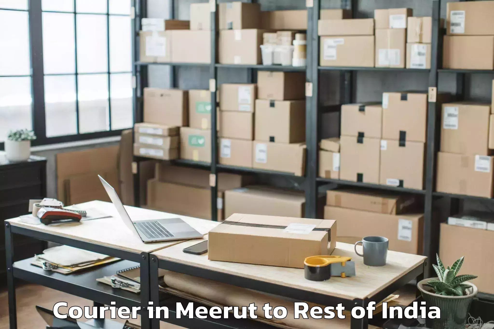 Reliable Meerut to Jammu Courier